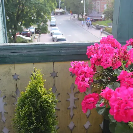 Cis Przy Deptaku Krynica Zdroj