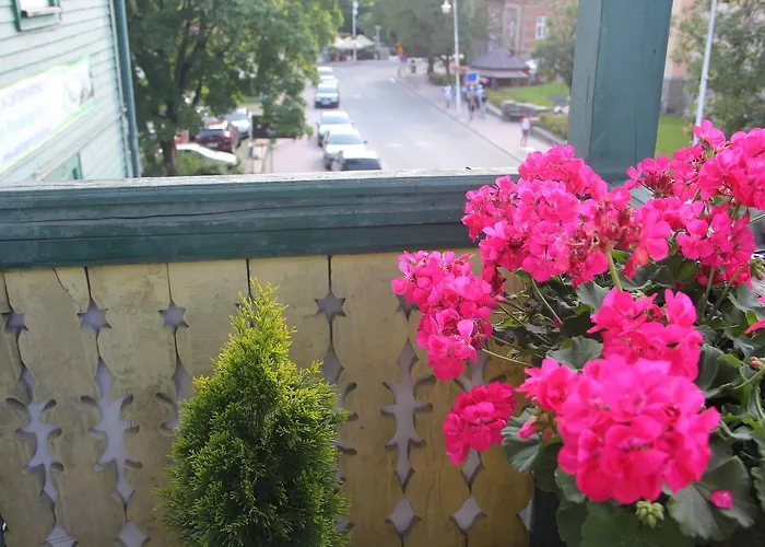 Cis Przy Deptaku קריניצה זדרוי